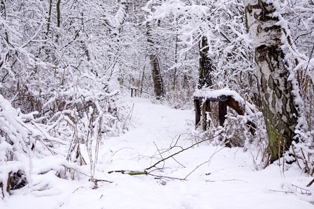Winter way - T?ebo?の写真素材
