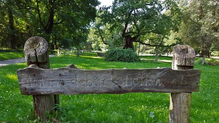 Sign ( polana debow zabytkowych ) - means glade of ( historic, monumental ) oaks. Europes biggest area of the oldest oak trees. Rogalin village palace poznan city - Polandの写真素材
