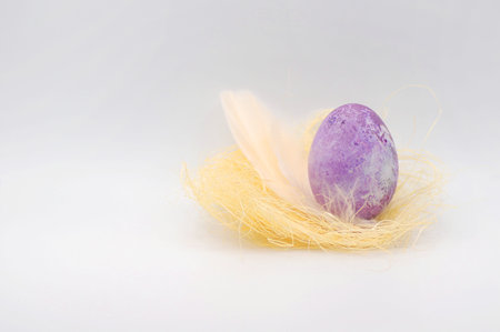 A Very Peri-colored egg with a cream feather lies on the straw