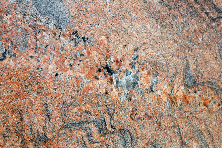 Rose red granite textured backgroundの写真素材