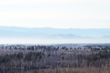 View of the Hamar Daban mountains on a clear winter dayの写真素材