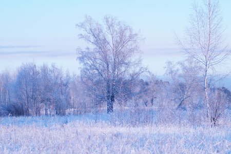 Idyllic landscape of fields and forests in the distanceの写真素材