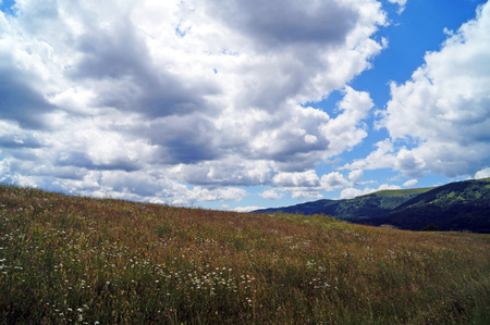 Panoramic view of the Carpathian mountains, green forests and flowering meadows on a sunny summer dayの写真素材