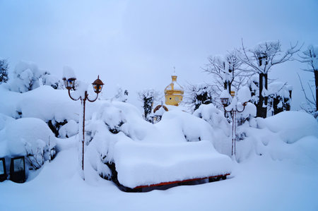 View of a winter snowy park with trees covered with white fluffy snow on a frosty sunny day