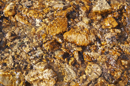 Clear water in a mountain river at the bottom of which lies the stones on a sunny day