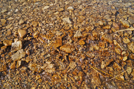 Yellow stones lying at the bottom of a mountain river under clear water on a sunny day