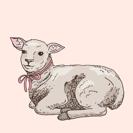 Hand drawn lamb. Cute small animal. Easter symbol. Doodle illustrationのイラスト素材