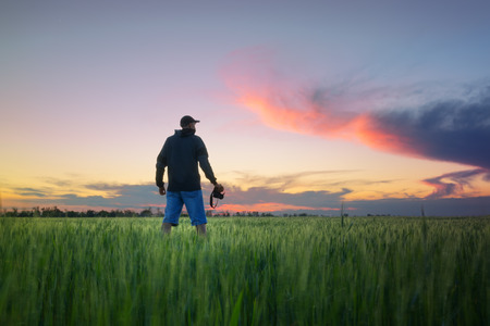 man on a wheat field / photographer in search of spring sunset plotの写真素材