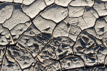 drought makes the ground interesting things / texture of cracked earth close-up
