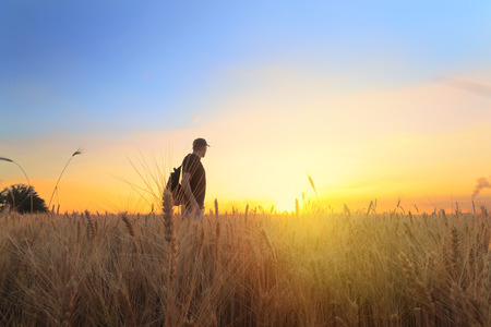 photographer while working search for a story / evening landscape man on the fieldの写真素材