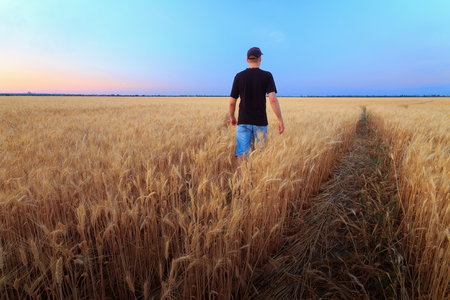 photographer while working search for a story / evening landscape man on the fieldの写真素材