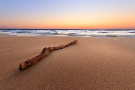 log lying on the shore of an abandoned beach / troubled water dawn morningの写真素材