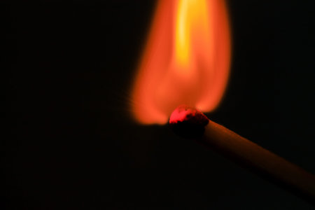 burning match in the dark / match fire on a black background close-up