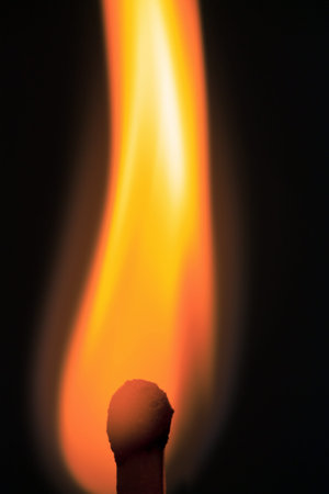 burning match in the dark / match fire on a black background close-up