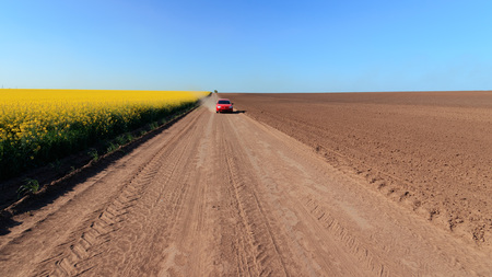the road along canola fieldの写真素材