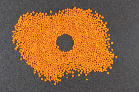 orange lentils on grey background / lentil grains scattered on textured backgroundの写真素材
