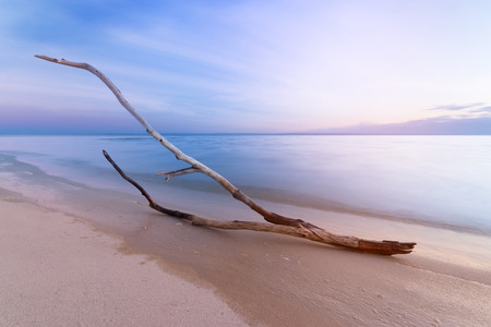 log lying on the shore / dawn on the shore early spring blue shadesの写真素材