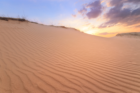 sunset on sand dunes / bright colors of early springの写真素材
