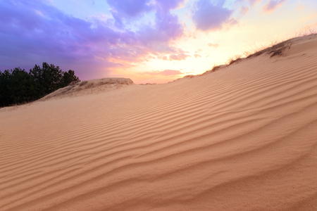 sunset on sand dunes / bright colors of early springの写真素材