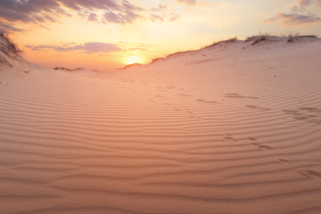 sunset on sand dunes / bright colors of early springの写真素材