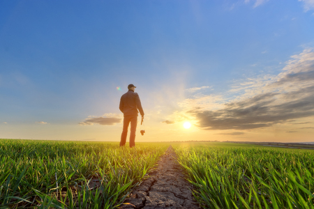 people wheat field sunset / landscape spring field agriculture of Ukraineの写真素材