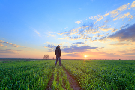 people wheat field sunset / landscape spring field agriculture of Ukraineの写真素材