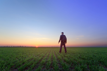 people wheat field sunset / landscape spring field agriculture of Ukraineの写真素材