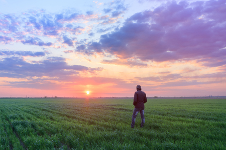 people wheat field sunset / landscape spring field agriculture of Ukraineの写真素材