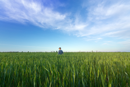 people wheat field sunset / landscape spring field agriculture of Ukraineの写真素材
