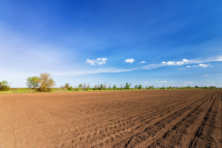 land on the field for planting \ bright spring photo ukraine middayの写真素材