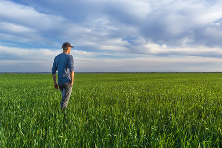 people wheat field sunset / landscape spring field agriculture of Ukraineの写真素材