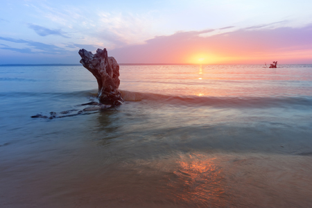 bright colorful landscape morning sun, log lying in the water at dawnの写真素材