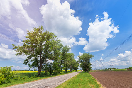 the road to a brighter summer day / summer landscape of the city