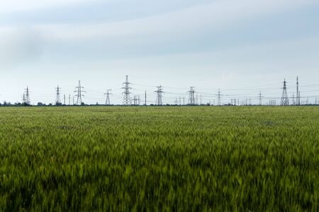 power line summer photo / power supply wiresの写真素材
