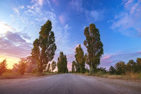 road night scenery / road in the evening during sunsetの写真素材