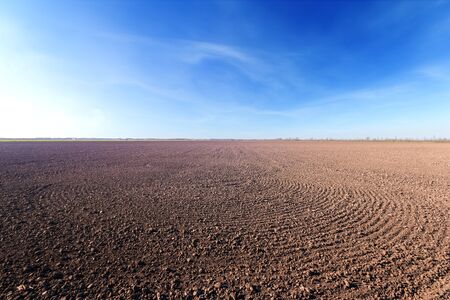 vspuchennye field agriculture / prepared for the field of agricultureの写真素材