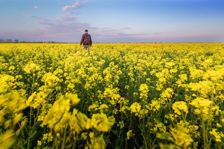 man looks at the sky / bright spring landscapeの写真素材