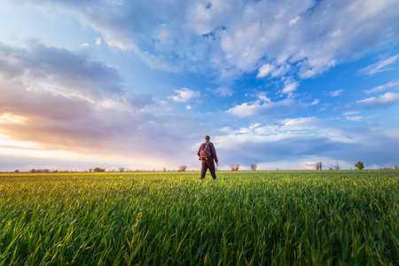 sunset on a green field / a man looks at the sunの写真素材