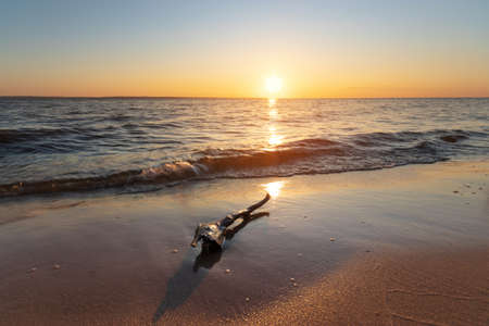 log lying on the shore of an abandoned beach / troubled water dawn morningの写真素材