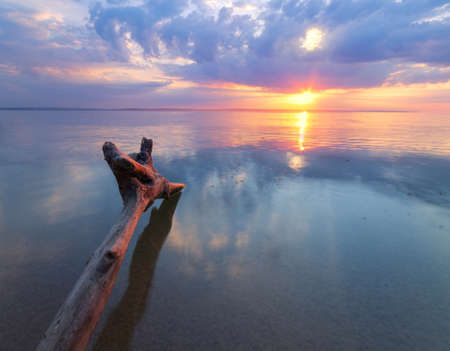 log lying on the shore of an abandoned beach, troubled water dawn morningの写真素材