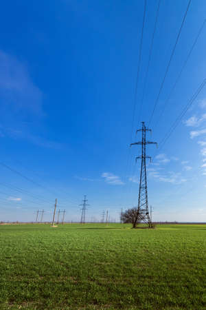 power line summer landscape. passing overhead electricity wire of the support carrying the light and the heat in the houseの写真素材