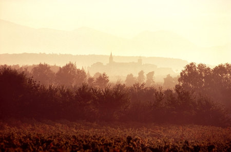 Autumn morningの写真素材