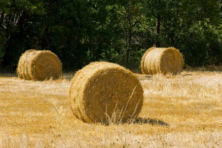 balot of straw to the middle of the field