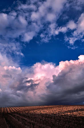 sky of springの写真素材