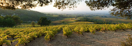 autumnal landscape of Provenceの写真素材