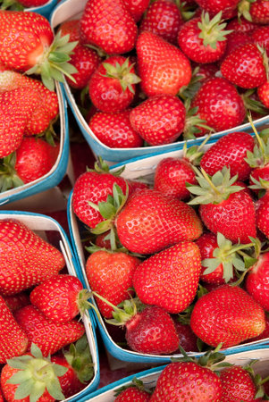 feast of the strawberry - Velleron Vaucluseの写真素材