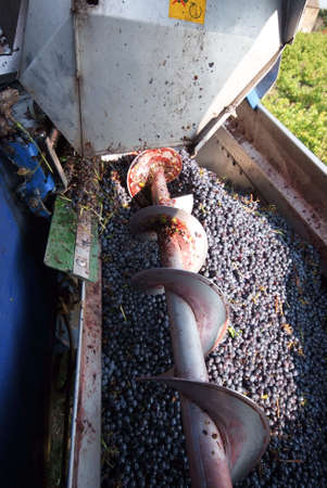 machine to harvest to work during wine-harvestの写真素材