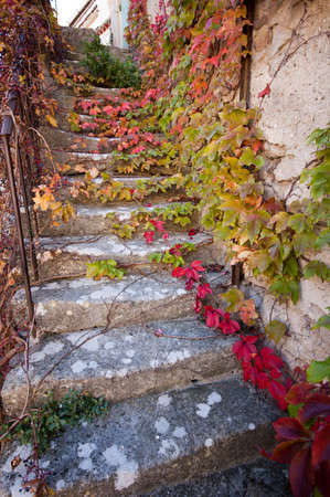 stone staircase under the leaves of fallの写真素材