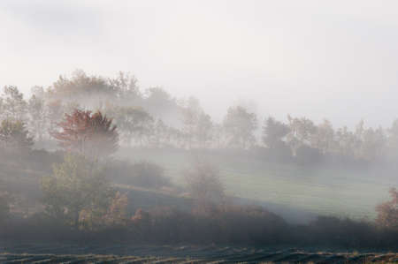 field of lavender in fall to the over sea of cloudの写真素材
