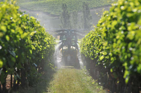 work mechanical tractor and treatment of the grapevineの写真素材